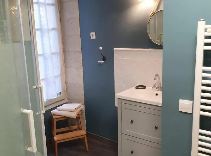 Bed & Breakfast Manoir Du Bellay 3*